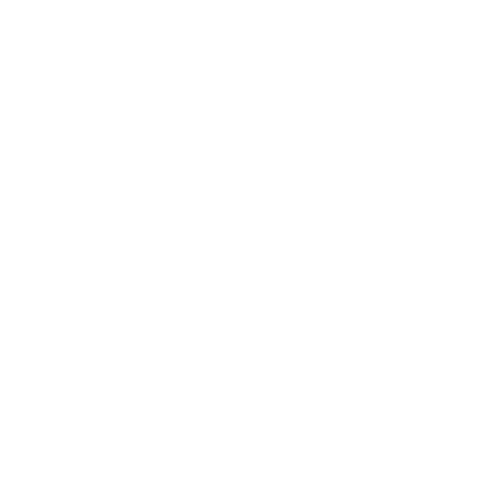 13 Logo